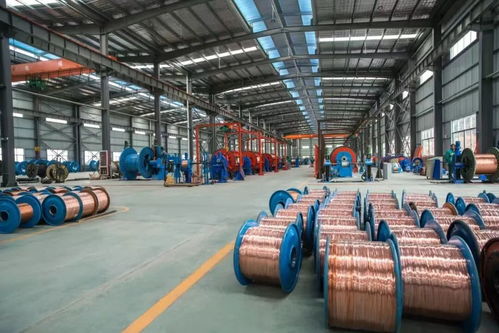 老廠迎蝶變 借力數(shù)字化再攀高峰